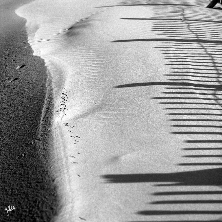 photo de plage de Camargue noir et blanc photographe Marseille Germain Verhille photographie artistique déco expo