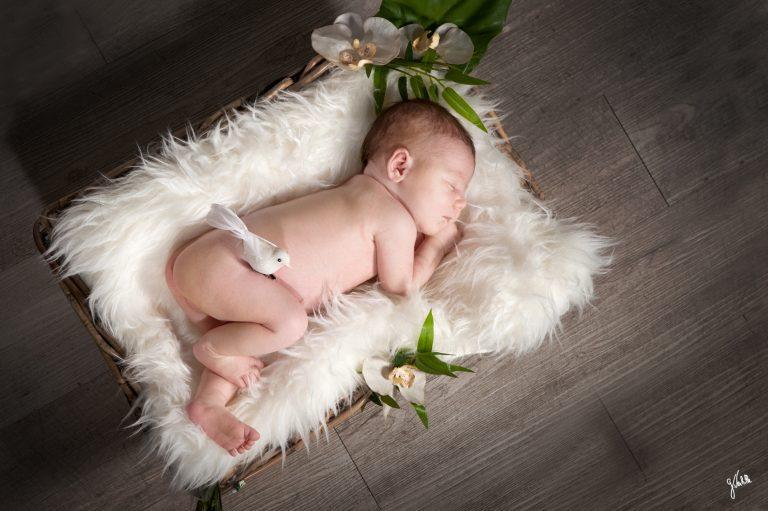 portrait de nourrisson bébé nouveau né réalisé lors de la séance photo au studio photo "Germain Verhille Photographe" à Marseille